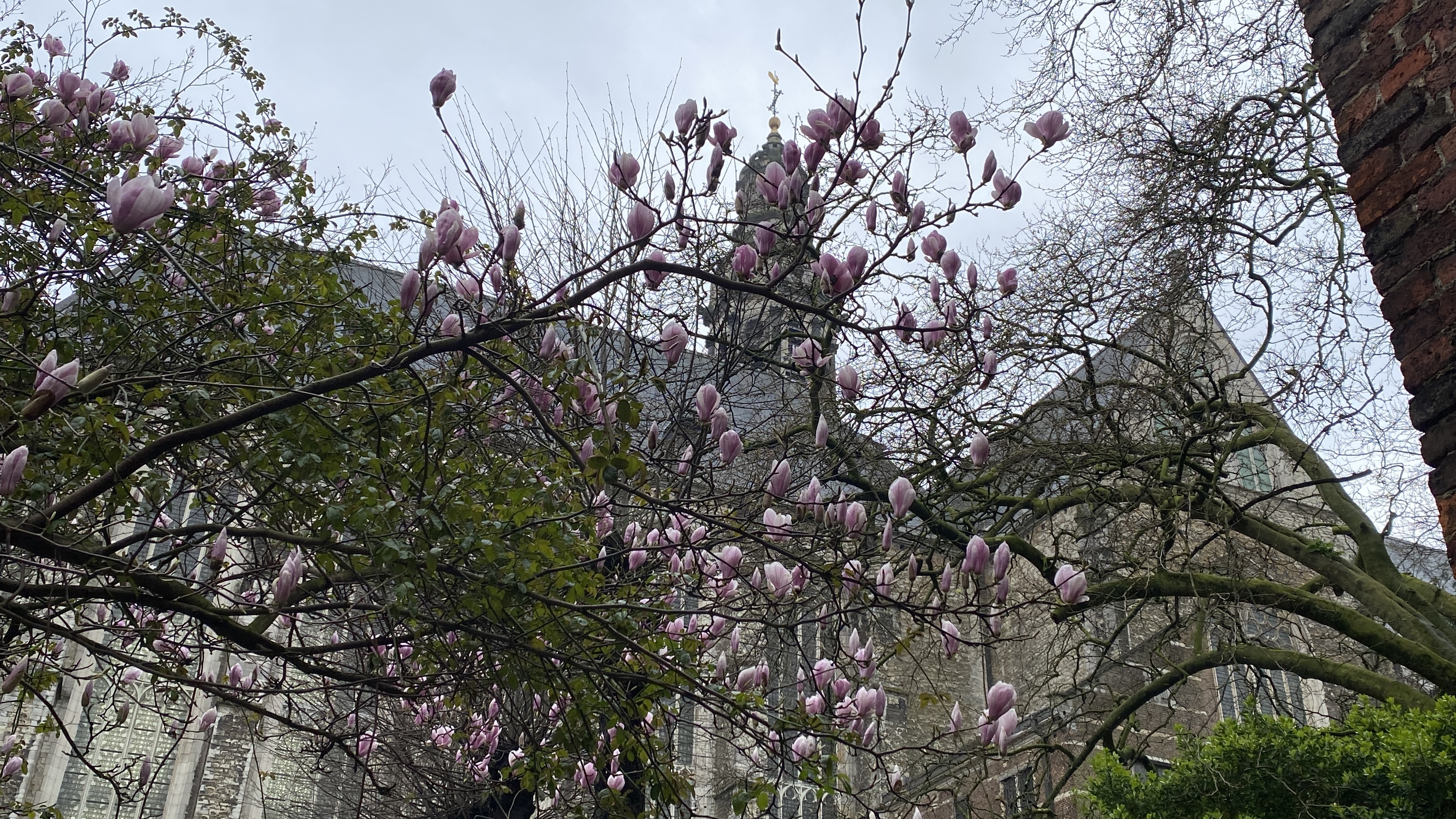 Sint Paulus Antwerpen