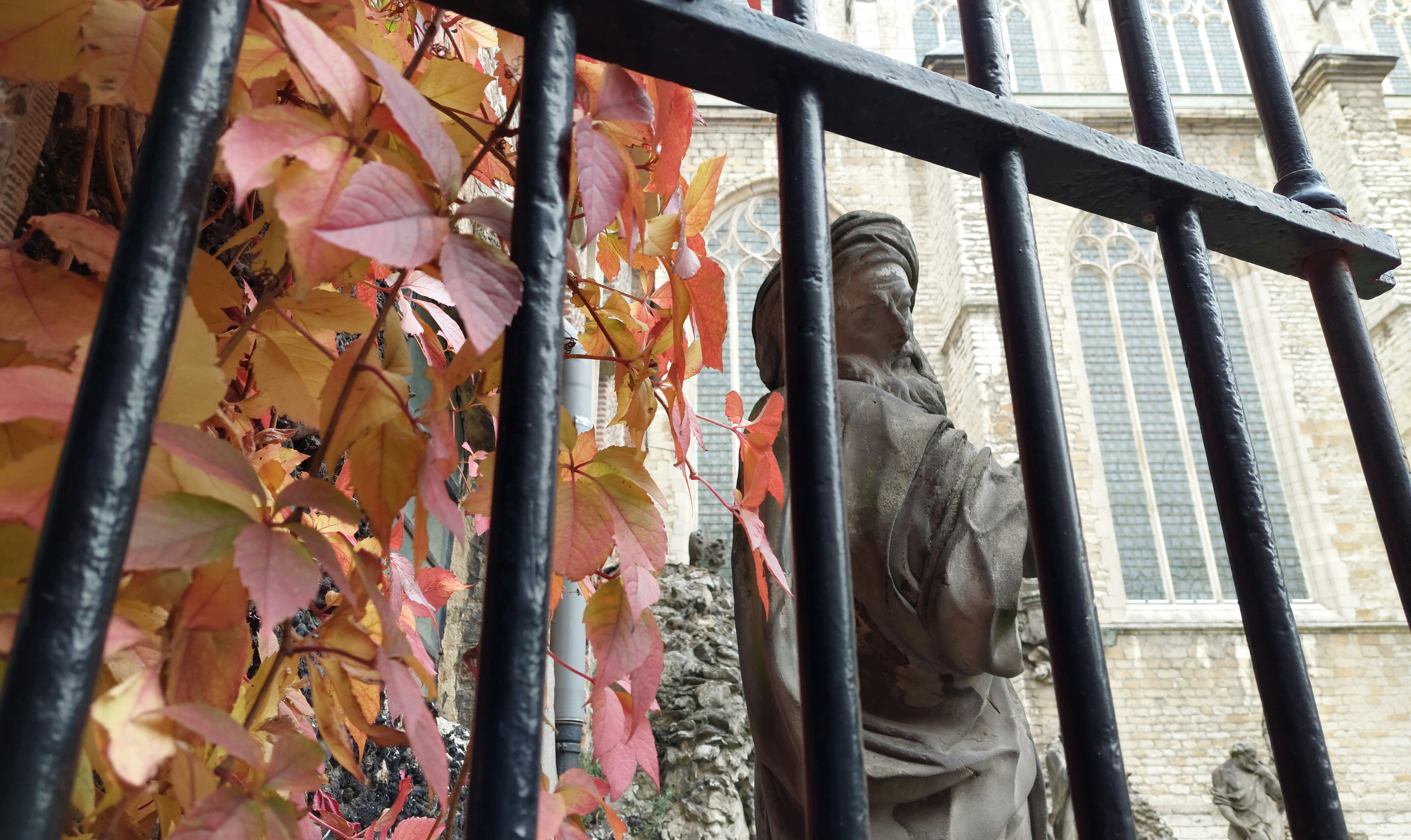 Sint Paulus Antwerpen